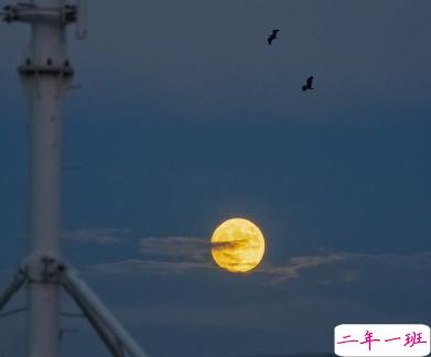 读起来压抑想哭的句子 网易云伤感文案1