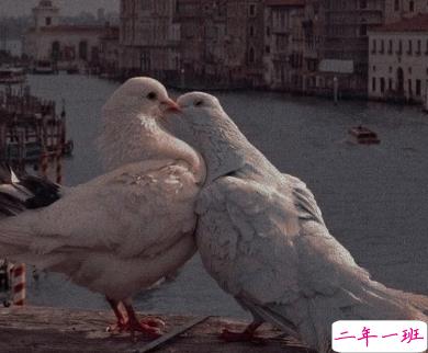 读起来压抑想哭的句子 网易云伤感文案2