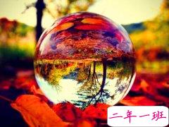 非主流说说心情短语：因为输不起，所以才装成永远不怕输的样子