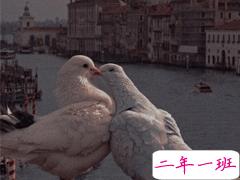 读起来压抑想哭的句子 网易云伤感文案