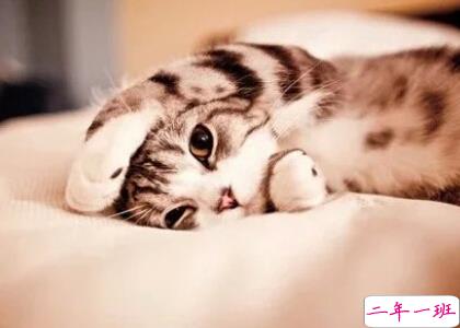 转发量高的说说