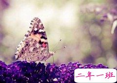 富有深意的句子:我们总说岁月如故,却不曾想过是否如初