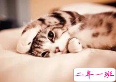 转发量高的说说：熟到一种程度是你突然叫我全名我都会怕