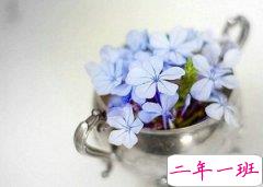 好听的英文说说心情短语带翻译