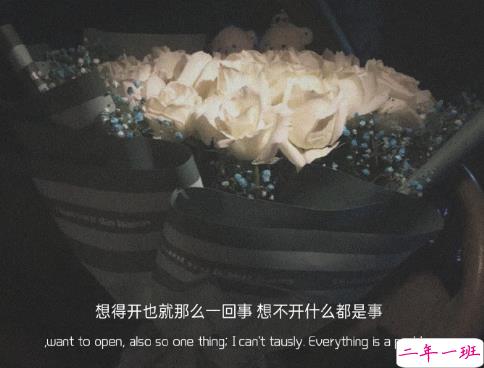 分手后发朋友圈的感情语录 含蓄微丧的分手文案2