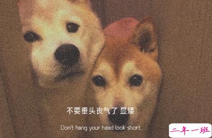 很丧的却很惊艳的朋友圈文案 压抑且温柔的高质量丧系文案2