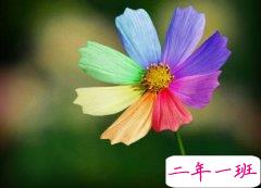 经典的句子说说心情:你可以没见过我生气,但别以为我没脾气