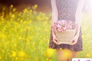 新浪微博经典语录：岁月是场有去无回的旅行，好的坏的都是风景