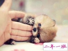 比较经典的说说:当现实抬手给你一巴掌的时候,你应该和他击个掌