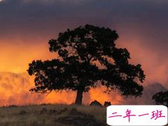 听起来就很伤感的文案说说 一些事只配当回忆