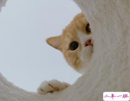 一秒泪崩的说说压抑心情 不甘做朋友不敢做恋人1