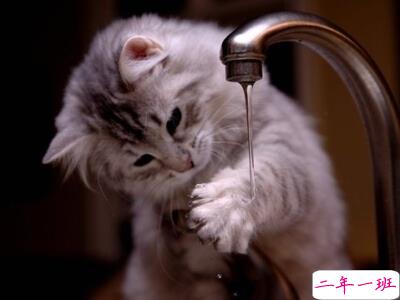 一句话经典心情语录