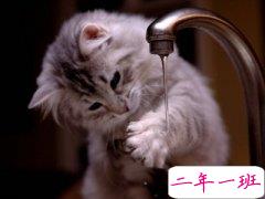 一句话经典心情语录:现在流的泪,是当初喜欢你时脑子进的水