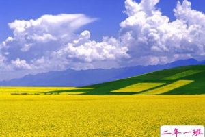 励志说说心情短语:你的父母仍在为你打拼,这就是你努力的理由