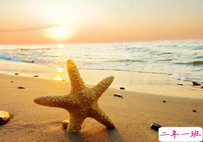 很有道理的句子