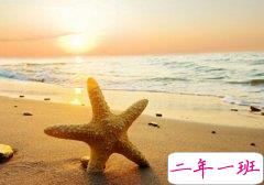 很有道理的句子:日久不一定见真情,但是一定会见人心