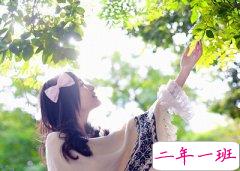 网络流行说说：别对我说永远，我活不到那个点