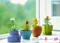 2015经典说说大全：比你强大的人都在努力，你还有什么理由不拼命