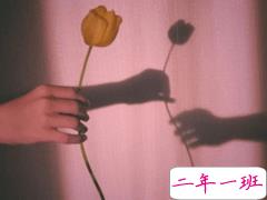 朋友圈伤感文案一句话 合适真的比喜欢重要