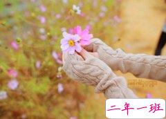 最经典的QQ说说：找不到坚持下去的理由，就找一个重新开始的理由