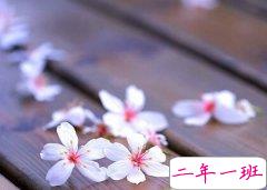 感悟人生的经典句子：不是一路人，你怎么抄近路都没有用