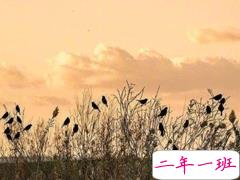 比较丧的朋友圈文案 超级伤感的心情说说