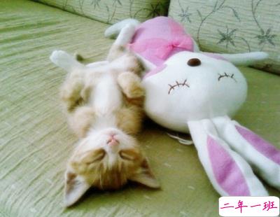 最新经典说说大全2