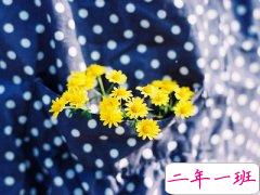 一句话经典语录:你没资格说我变了,知道有句话叫拜你所赐吗?