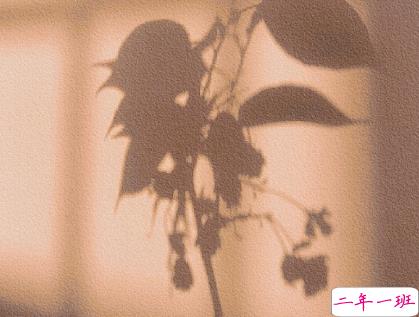 最新微信说说伤感走心 容易引起共鸣的伤感文案1