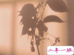 最新微信说说伤感走心 容易引起共鸣的伤感文案