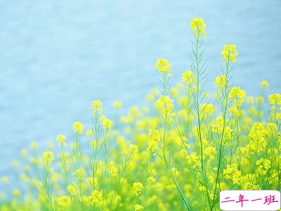 QQ经典说说大全2