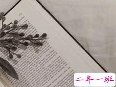 失恋心死的句子 一颗心空了的句子