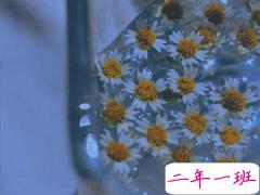 失望心凉的朋友圈说说好想哭 最让人心凉的句子