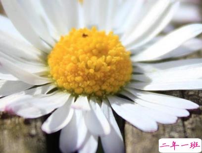 2020清明节说说最新 清明节说说思念亲人1