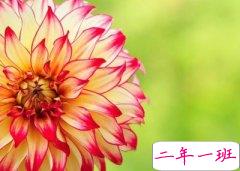 经典心情语录：爱上一座城，大抵是因为，这里住着一个你爱的人