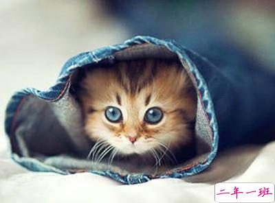 很有内涵的说说：在最深的绝望里，遇见最美丽的风景1