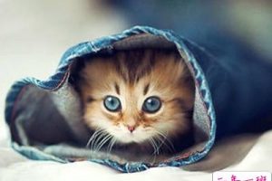 很有内涵的说说：在最深的绝望里，遇见最美丽的风景