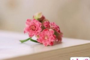 精彩的空间说说:为了未来美一点,现在必须苦一点