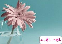 好的QQ心情：不要欺骗，你能骗到的人，都是相信你的人