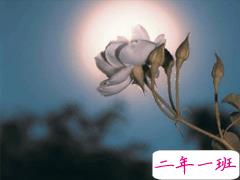 2020情人节伤心说说心情 214情人节心情很不好的说说