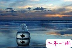 最热门的QQ心情:谁年轻的时候没爱过几个人渣