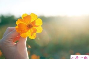 打动人的话：有些事注定成为故事，有些人注定成为故人