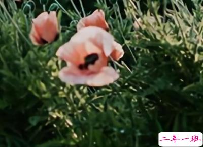 喝酒时朋友圈伤感文案 触碰心灵的伤感句子1