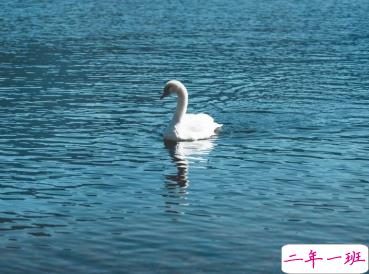 男生被伤了心的说说 男生伤感语录很扎心2