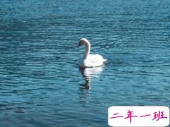 男生被伤了心的说说 男生伤感语录很扎心