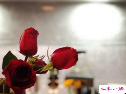 抖音男生伤感语录大全 一句话击中脆弱男生的心1