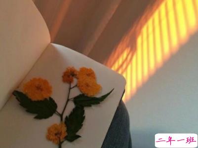 触碰内心深处的伤感句子 简短深刻的说说很伤心2