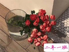 女生伤感说说揪心难过 眼里有泪心里有伤的说说