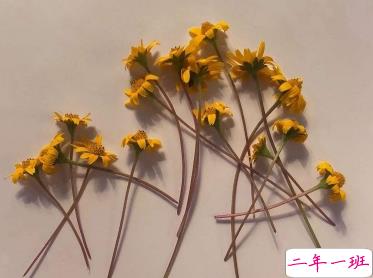 心累到崩溃的说说 难受想哭的说说疲惫不堪2