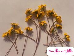 心累到崩溃的说说 难受想哭的说说疲惫不堪